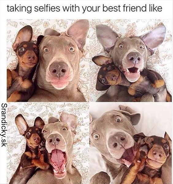 Selfie s najlepším priateľom