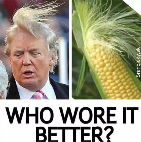 Trump alebo kukurica ?